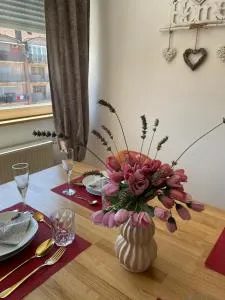 Apartman Lana - تسليتش