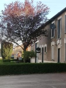 B&B / Chambres d'hotes Arara : photos des chambres