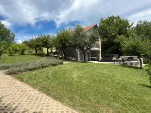 Légy Ott Kuckó - Nagygörbő