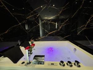 Appartements Prestige Jacuzzi & Clim, parking - Roanne centre-ville : photos des chambres