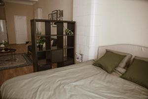 Pablo Apartment Cesis