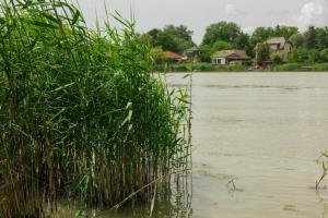 Nyárfás Panoráma Vendégház