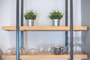 Urban & Spacious Apartment