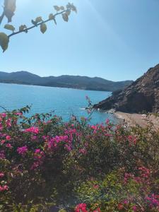 Risveglio sul mare img23