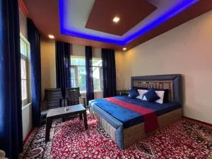 ARYAN GRAND PALACE Hotel and veg Restautant - Kanzalwan