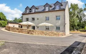 Admiral Vanessa - Zweifelscheid