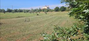 Stancija LotteGaly - GREEN holiday