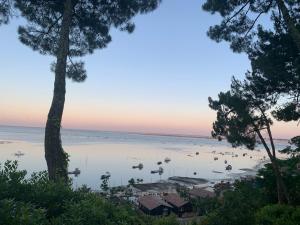 Relax plage et bassin