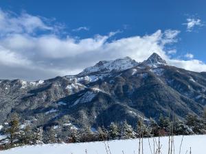 Appartements Cocon chaleureux, avec vue et au calme : photos des chambres