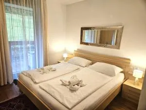 Apartment Franca Bad Kleinkirchheim - Bach