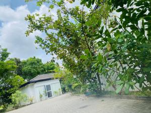 Premium Cottages B&B