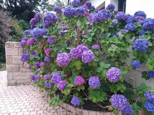 Appartement au calme à Arradon