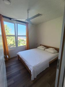 Apartmani Ribar