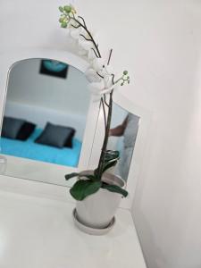 Appartements Sejour a Orly a 12 minutes d-Orly Airport et de Paris 14eme - AUX REFLETS PASTELS : photos des chambres