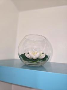 Appartements Sejour a Orly a 12 minutes d-Orly Airport et de Paris 14eme - AUX REFLETS PASTELS : photos des chambres