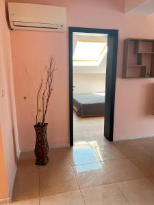 Apartament Samuela