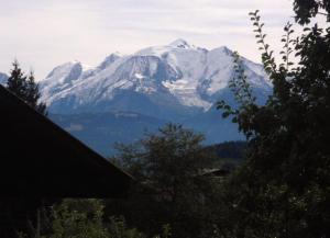 Appartements La Charbonniere : photos des chambres