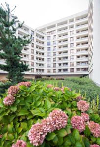 White apartament for Swifties