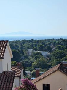 Yellow submarine - whole house