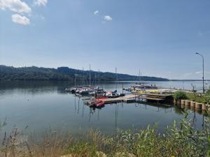 Apartament VELO Czorsztyn