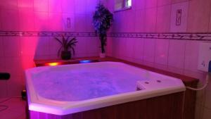 U Aniołka BASEN, SAUNA, JACUZZI W CENIE !
