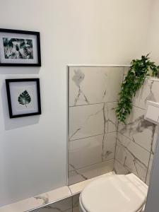 Sainte Cécile 1- Appartement spacieux et lumineux