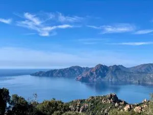 Appartement spacieux avec vue mer - 萨戈内