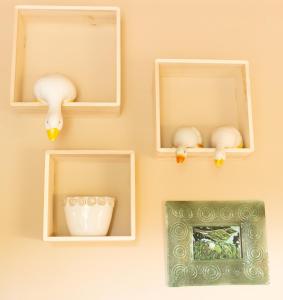 Dzika Foka Wiosłowa 49