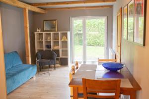 Dzika Foka Wiosłowa 49