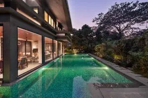 The Mango Sanctuary - Kensington - Zirad