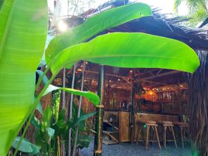 2BR 2Bath Eco Home Bungalow, Bangrak Beach, Koh Samui