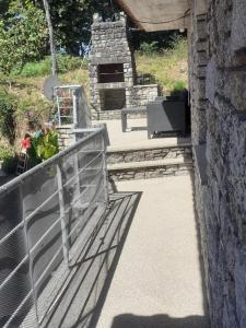 Os Girassóis da Carla