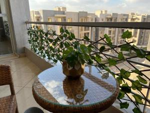 شقه مفروشه بالقاهره الجديده