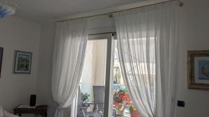 Le pavoncelle azzurre img14