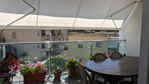 Le pavoncelle azzurre img21