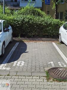 Cozy Oasis Cluj Napoca