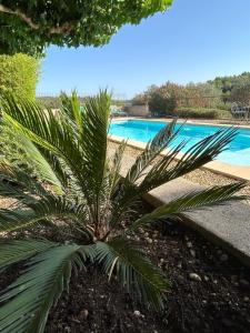 Villas Chateau du Grand Jas : photos des chambres