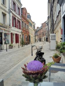 Appartements Honfleur-Terrasse : photos des chambres
