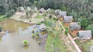 Amoron'ny Ala - Andasibe