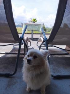 Hôtel Ancienne Fromagerie