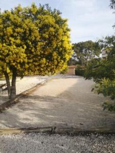 Appartements Rez-de-jardin climatise : photos des chambres