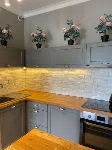 Uroczy apartament - Mackiewicza 5, Parking, Netflix