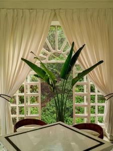 Burj Baneria - A Boutique Homestay