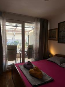 Top Apartment Sunny day Split