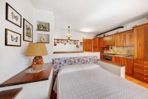 Monolocale Monti Pallidi