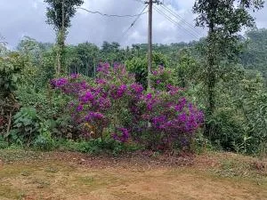 Mathew Kolady Valathoor - Meppādi