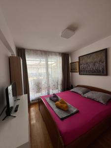 Top Apartment Sunny day Split