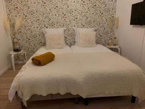 Maison cosy et jardin verdoyant