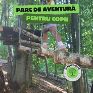 Butoiașele Montesanto - Explora y Alegrate