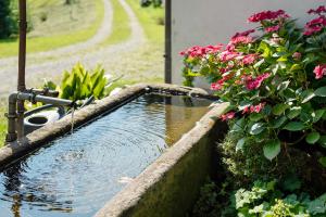 Schwarzwald Buchenhof
